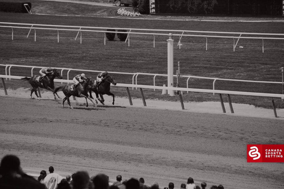 2021 Belmont Stakes Picks