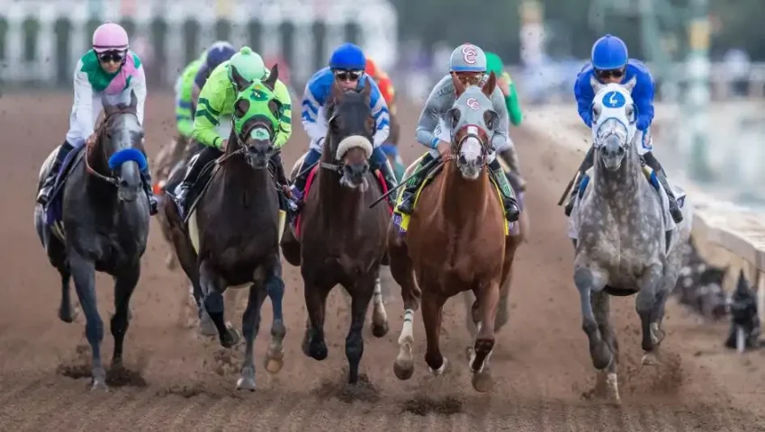 Breedes Cup odds