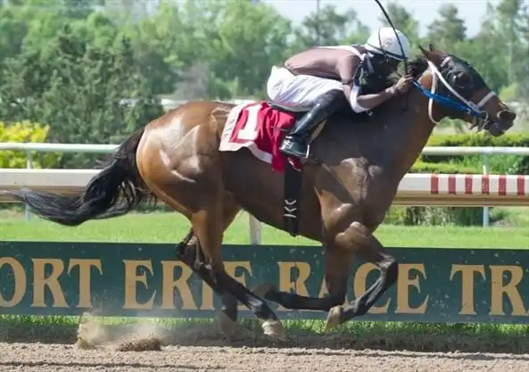 fort erie prince of wales