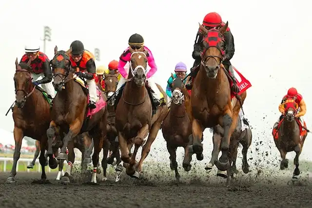 current queen's plate odds