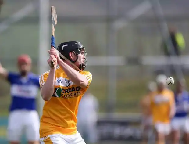 hurling sliotar helmet hurley