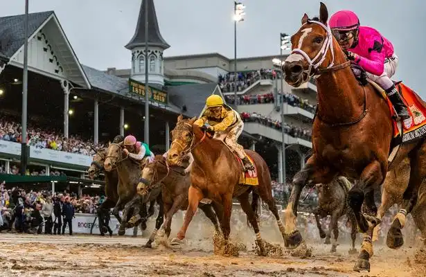 kentucky derby betting oddes horse race