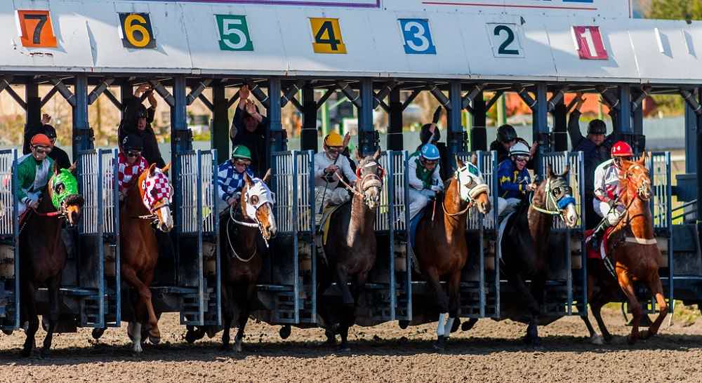 Sports Betting Vancouver 2024 Sportsbook Vancouver BC