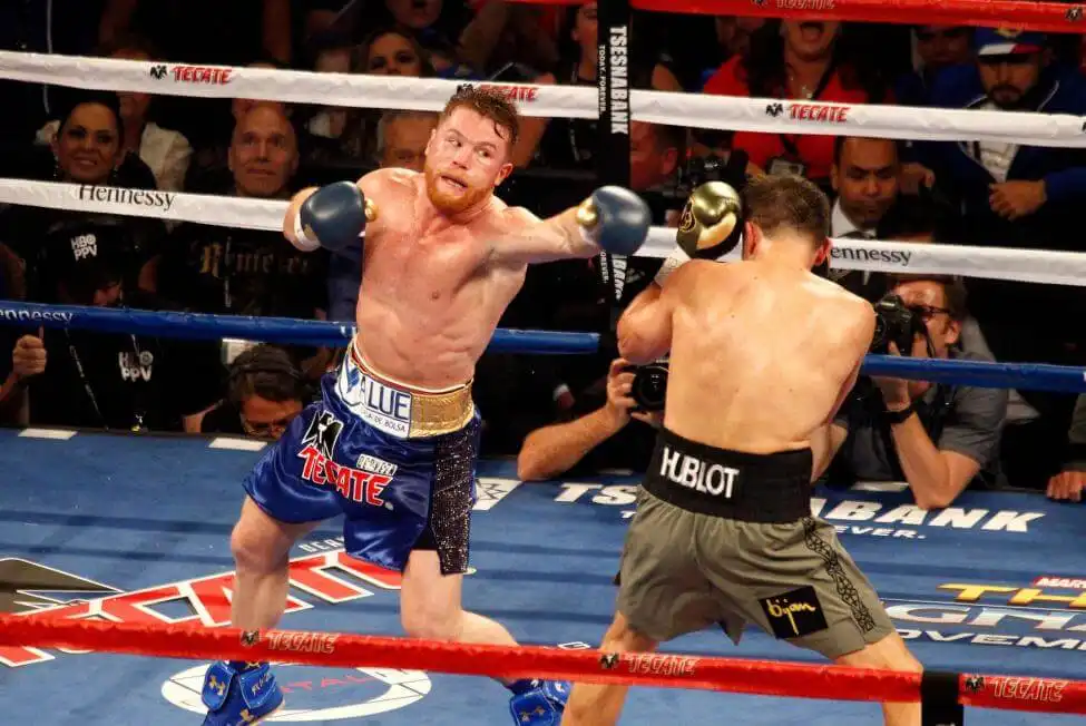 Canelo vegas odds