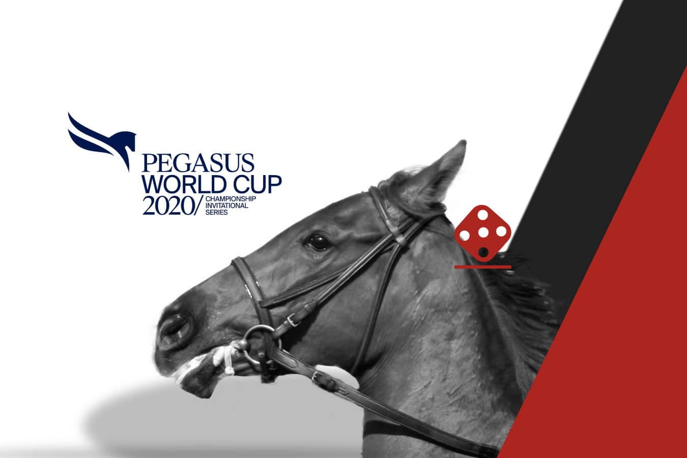 Pegasus World Cup 2021 Picks