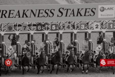 Preakness Stakes Picks 2021