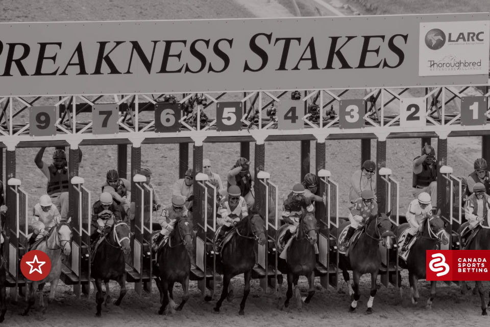 Preakness Stakes Picks 2021