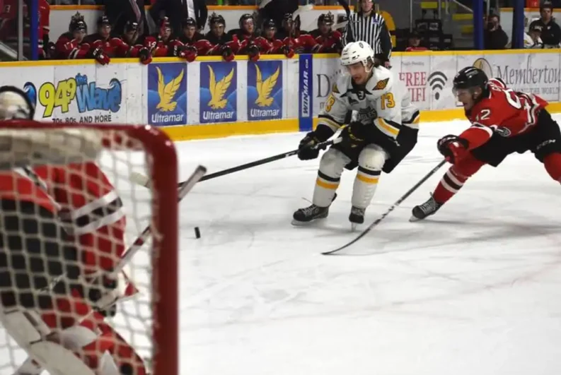 Quebec Major Junior Hockey League Teams