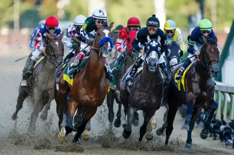 preakness stakes betting picks