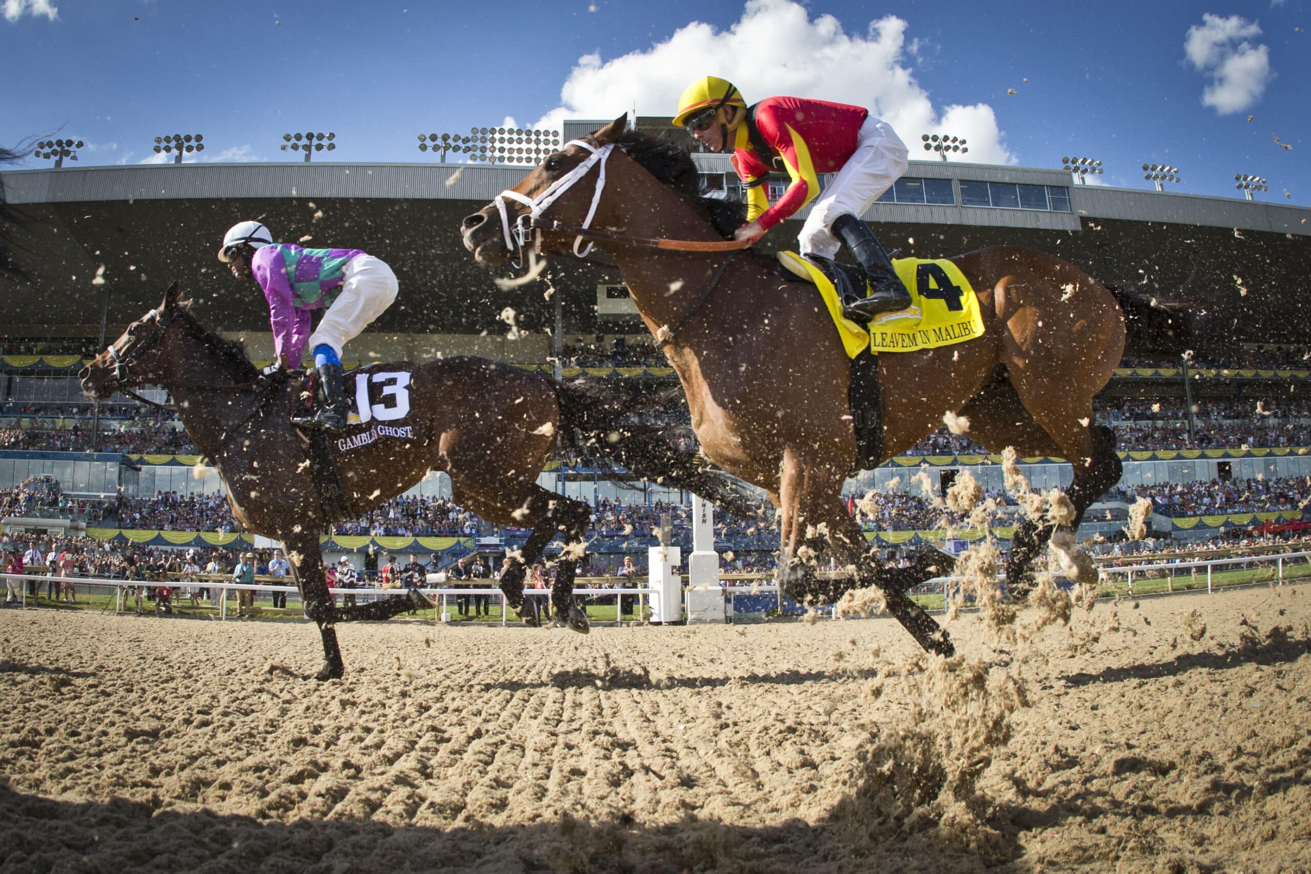 Kings Plate Betting 2024 bet365 King's Plate Stakes Betting