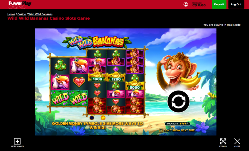 powerplay casino review user experience example