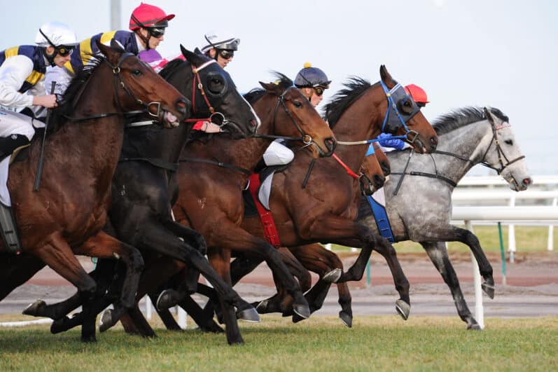 Horse Race Betting Canada