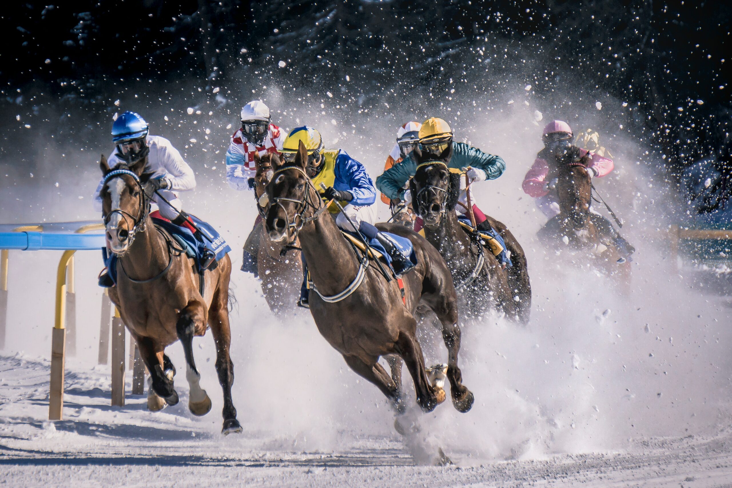 Horse racing betting odds
