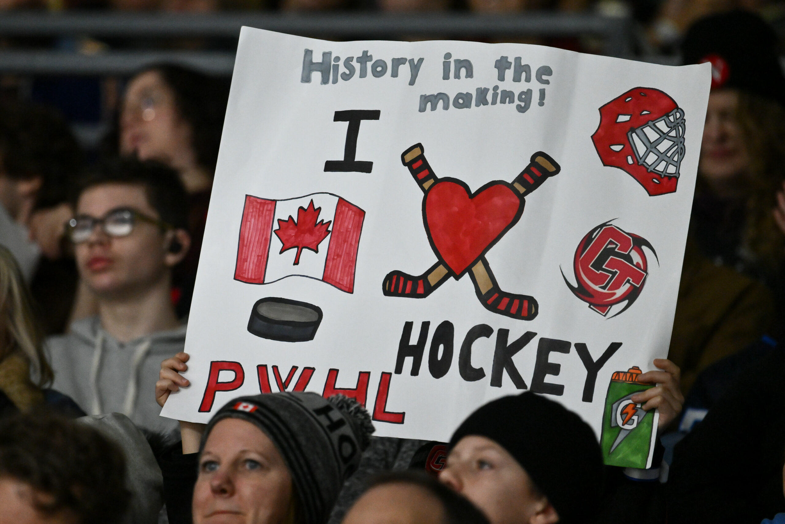 pwhl betting canada: spectator holding a sign at pwhl game in ottawa