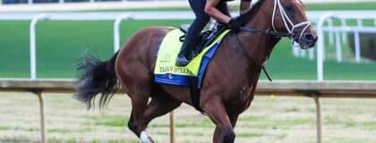 Kentucky Derby 151 contender Tappan Street trains at Churchill Downs on Monday morning April 21, 2025 in Louisville, Kentucky. The three-year-old has earned $643,000 so far and won the Grade I Florida Derby at Gulfstream Park on March 29.
