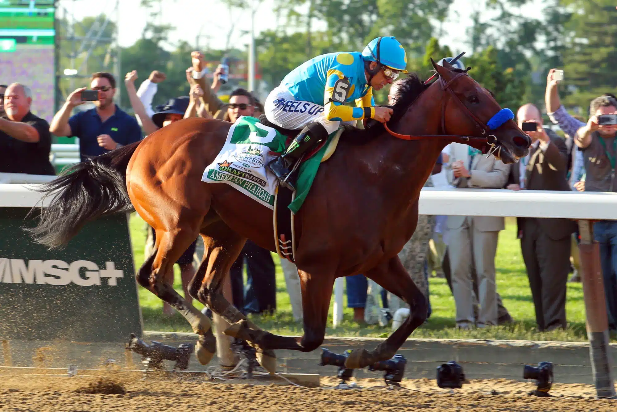 June 6, 2015; Elmont, NY, USA; American Pharoah with jockey Victor Espinoza wins the 2015 Belmont Stakes at Belmont Park. American Pharoah won all three legs of the Triple Crown.