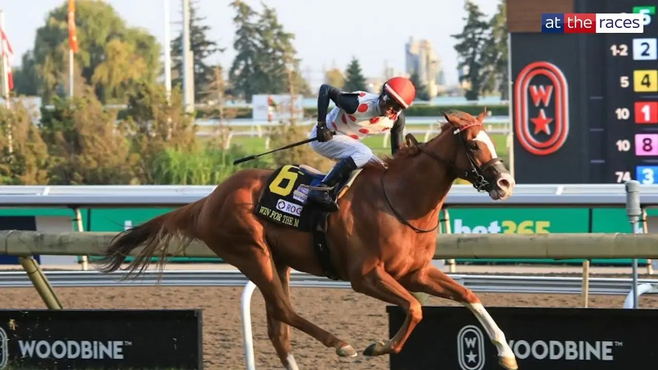 A horse and jockey running the Woodbine Mile