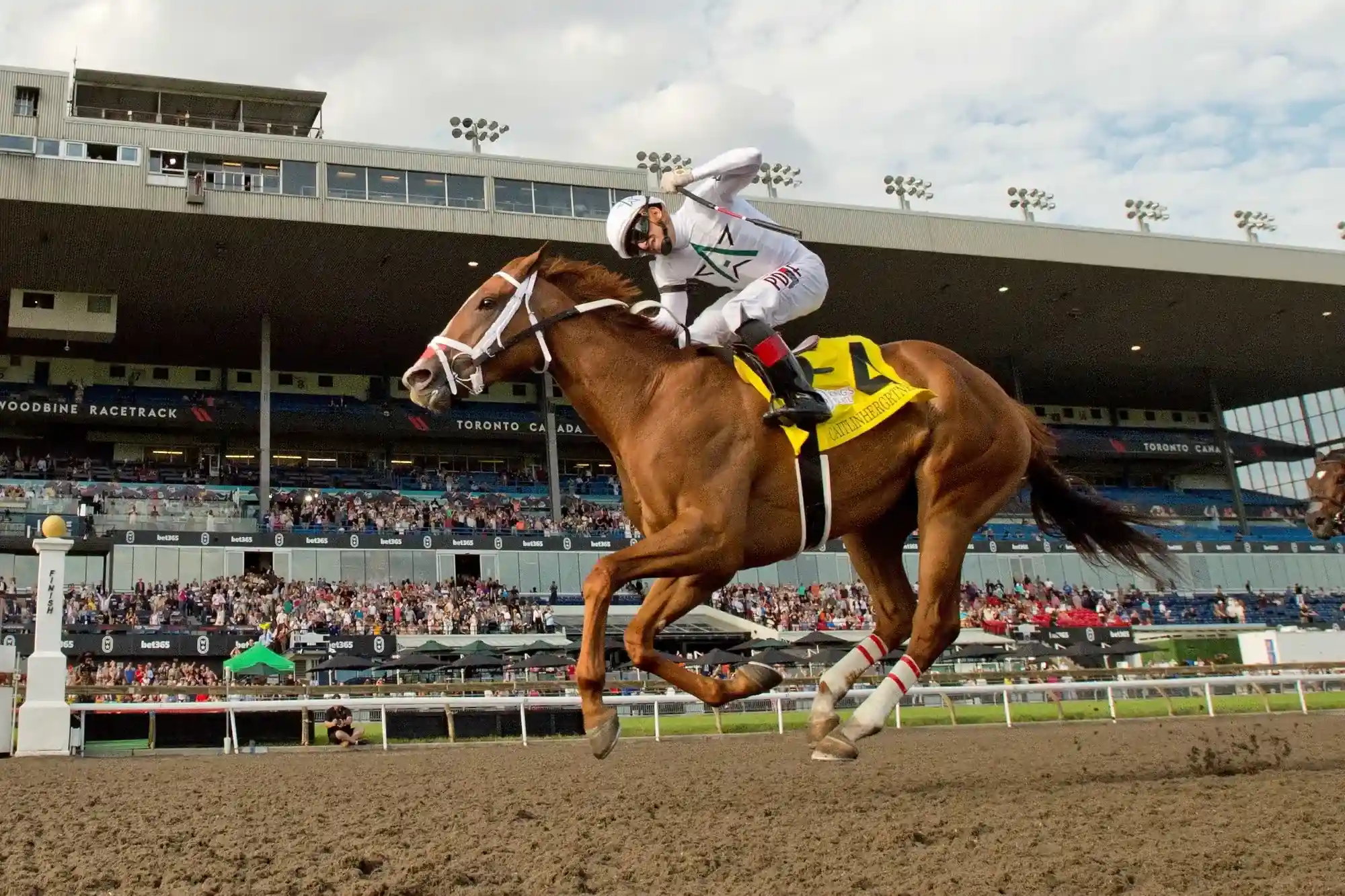 Caitilinhergrtness, under jockey Rafael Hernandez
