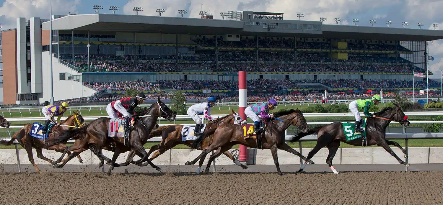 The field heads down the backstretch in the 160th running of the Queen’s Plate.