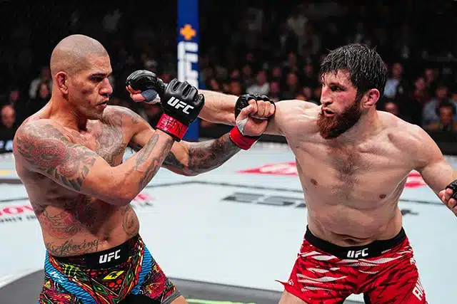 Magomed Ankalaev will face Alex Pereira in a light heavyweight championship rematch in the UFC 320