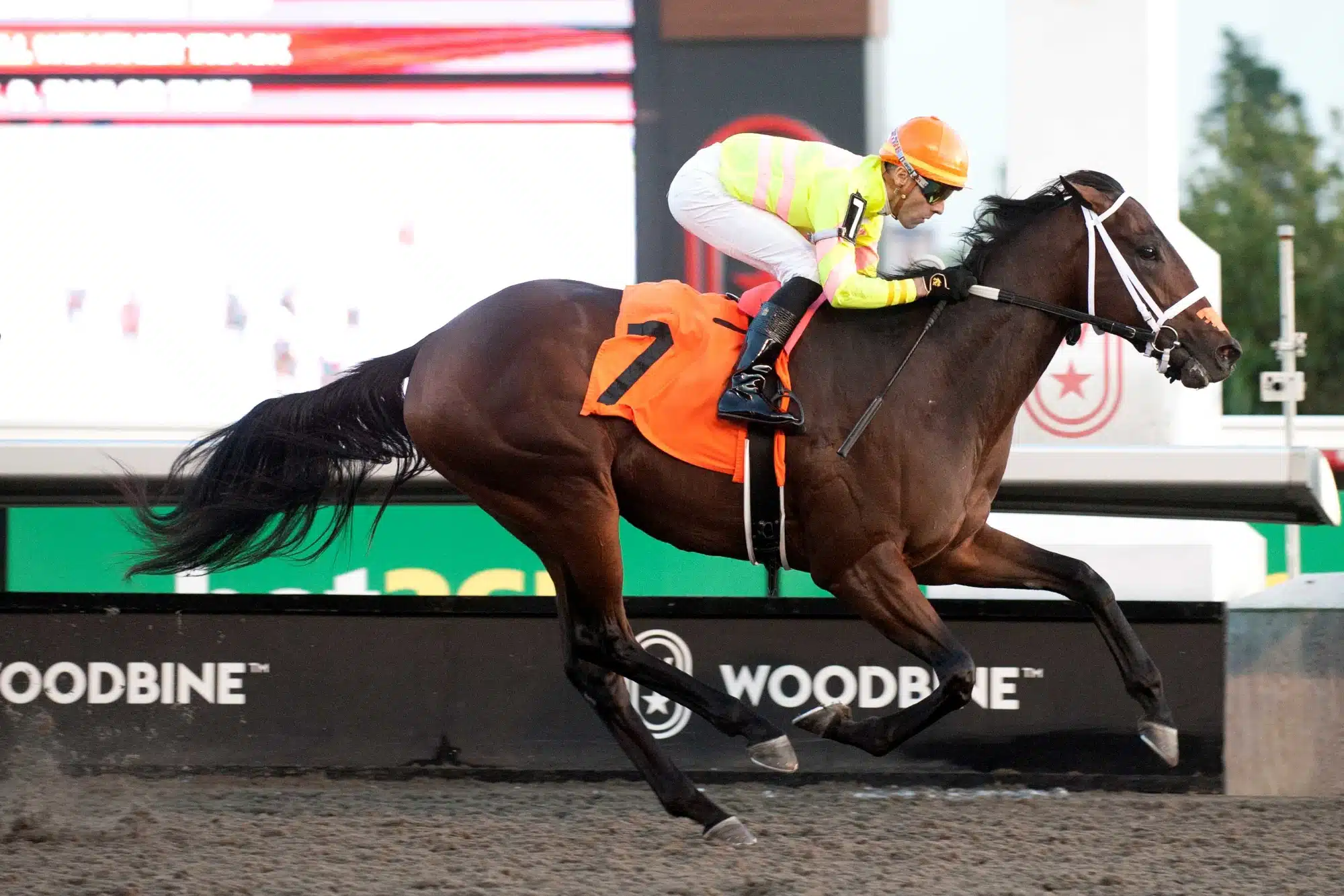 Mansetti and jockey Leo Salles winning Race 5 on September 26, 2024 at Woodbine