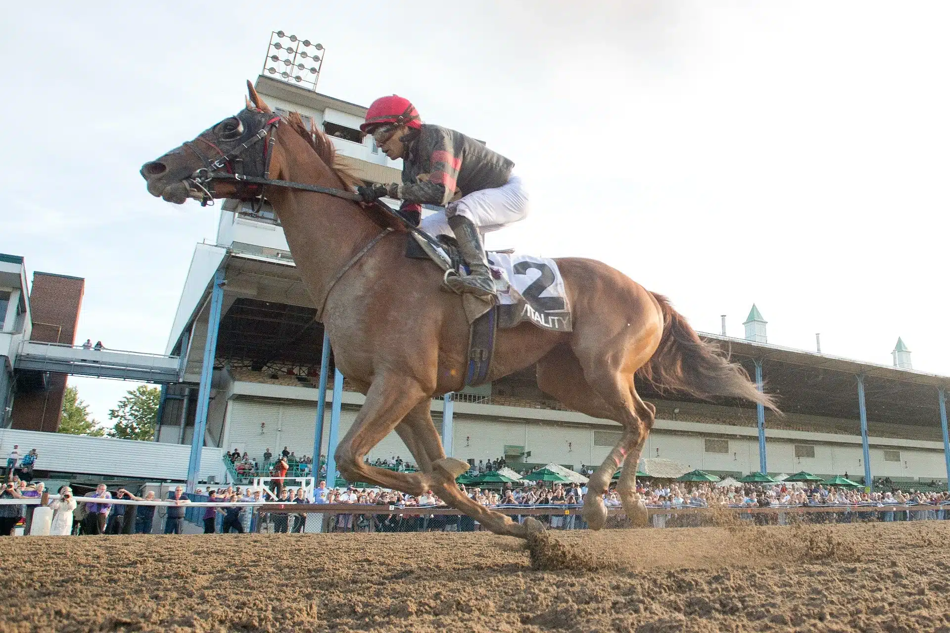 FORT ERIE, Ont., Sept. 10, 2024 – Vitality, a 9-1 longshot, claimed the $400,000 89th Running of the Prince of Wales Stakes Tuesday at Fort Erie Race Track.