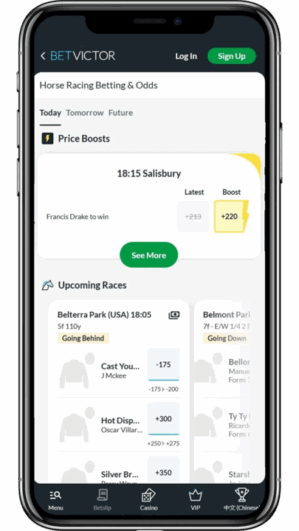 A screenshot of BetVictor's mobile app showing horse racing screen.