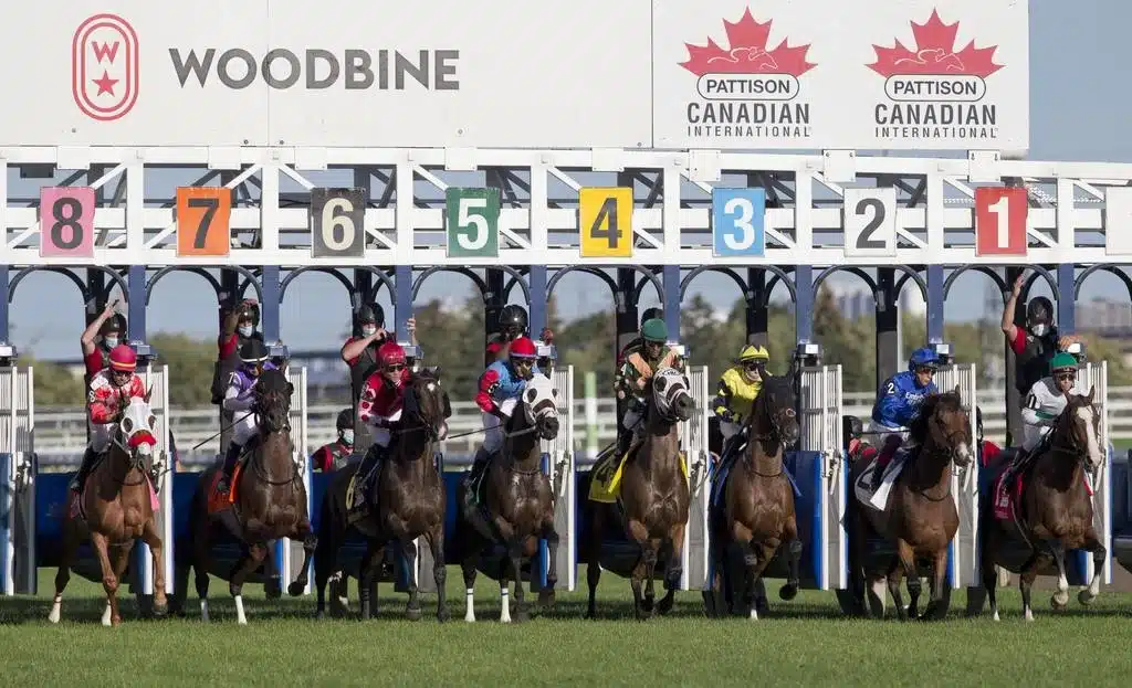 The field at the start of the Canadian International in 2021, won by #2 Walton Street