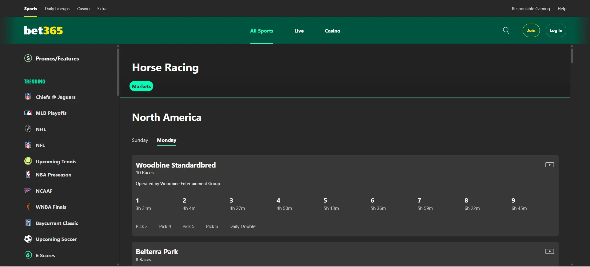Desktop view screenshot of bet365's horse racing betting page.
