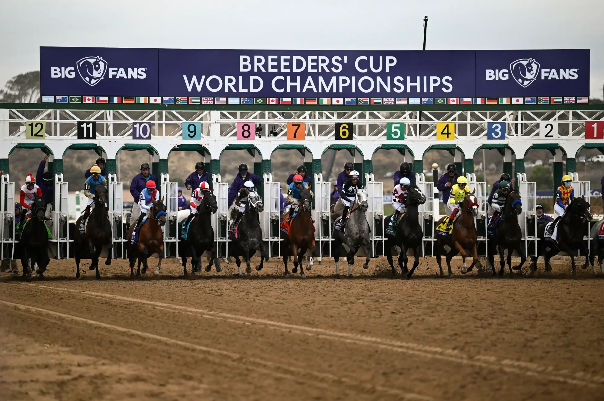 Nov 2, 2024; Del Mar, CA, USA; Horses leave the gate for the Dirt Mile race at the 2024 Breeders' Cup Championship at Del Mar Thoroughbred Club.