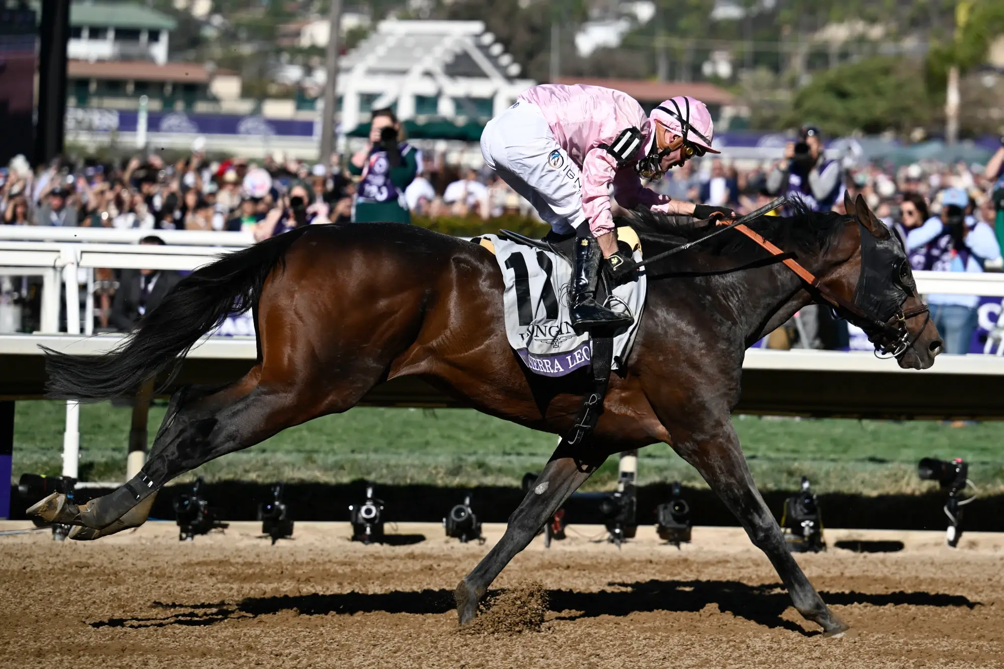 Nov 2, 2024; Del Mar, CA, USA; Sierra Leone ridden by Flavien Prat wins the Breeder’s Cup Classic during the 2024 Breeders' Cup Championship at Del Mar Thoroughbred Club.