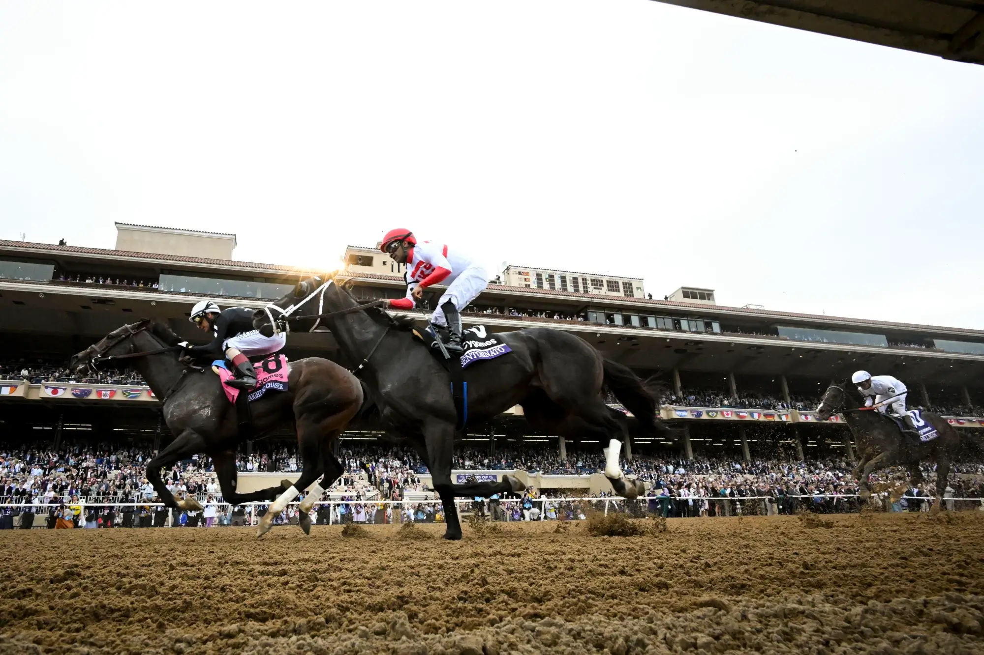Nov 2, 2024; Del Mar, CA, USA; Straight No Chaser ridden by John Velazquez wins the Sprint race ahead of Bentornato ridden by Luis Saez 2024 Breeders' Cup Championship at Del Mar Thoroughbred Club.