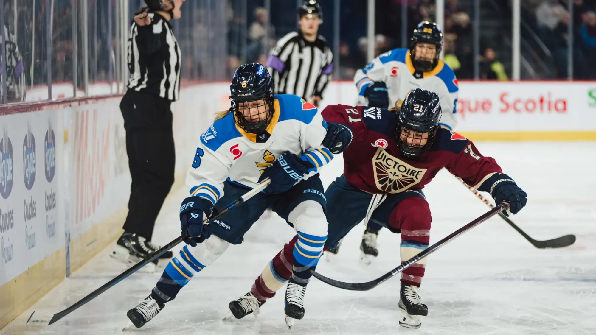 The Toronto Scepters battle with the Montreal Victoire in a PWHL game in December 2025.