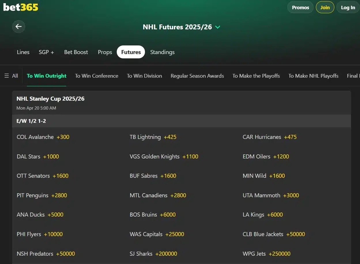 A screenshot view of bet365's Stanley cup odds