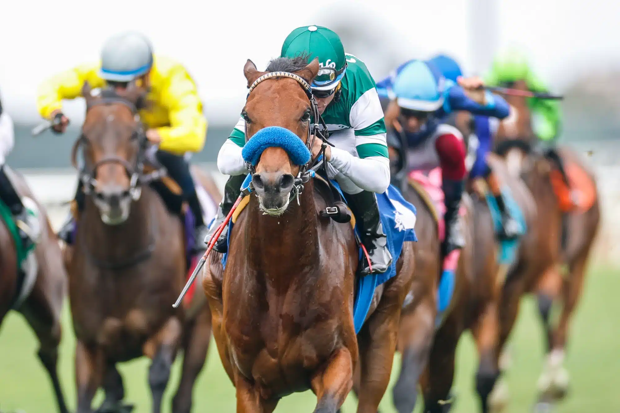 Suchet ridden by Joel Rosario wins The Sunrise race at the 2025 Breeders Cup Championship at Del Mar Thoroughbred Club. Nov 1, 2025; Del Mar, CA, USA