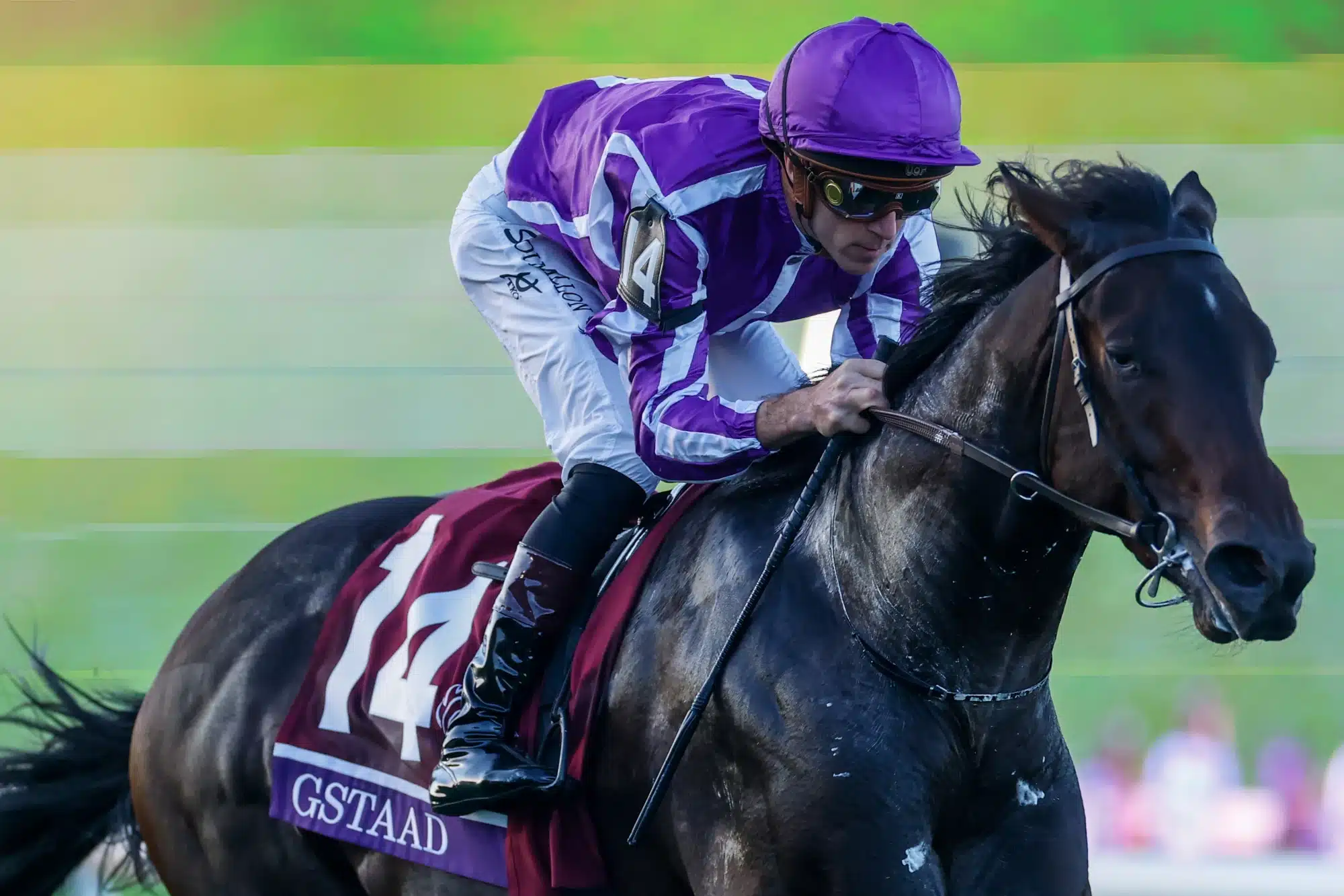 GStaad ridden by Christophe Soumillon wins the Breeders Cup Juvenile Turf race at the 2025 Breeders Cup Championship at Del Mar Thoroughbred Club. Oct 31, 2025; Del Mar, CA, USA.