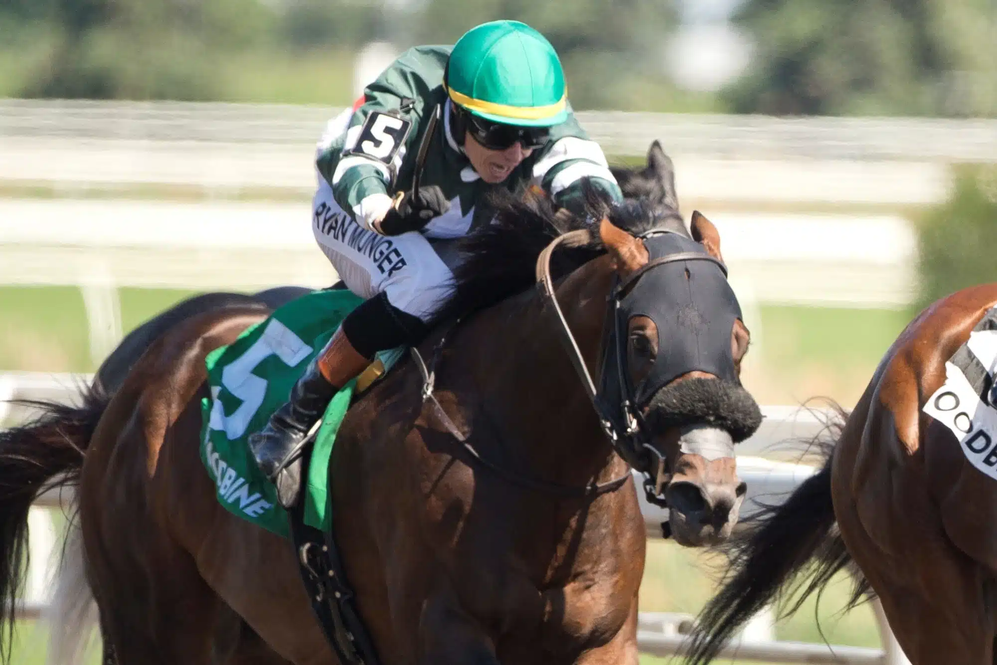 Brachetto and jockey Ryan Munger racing at Woodbine.