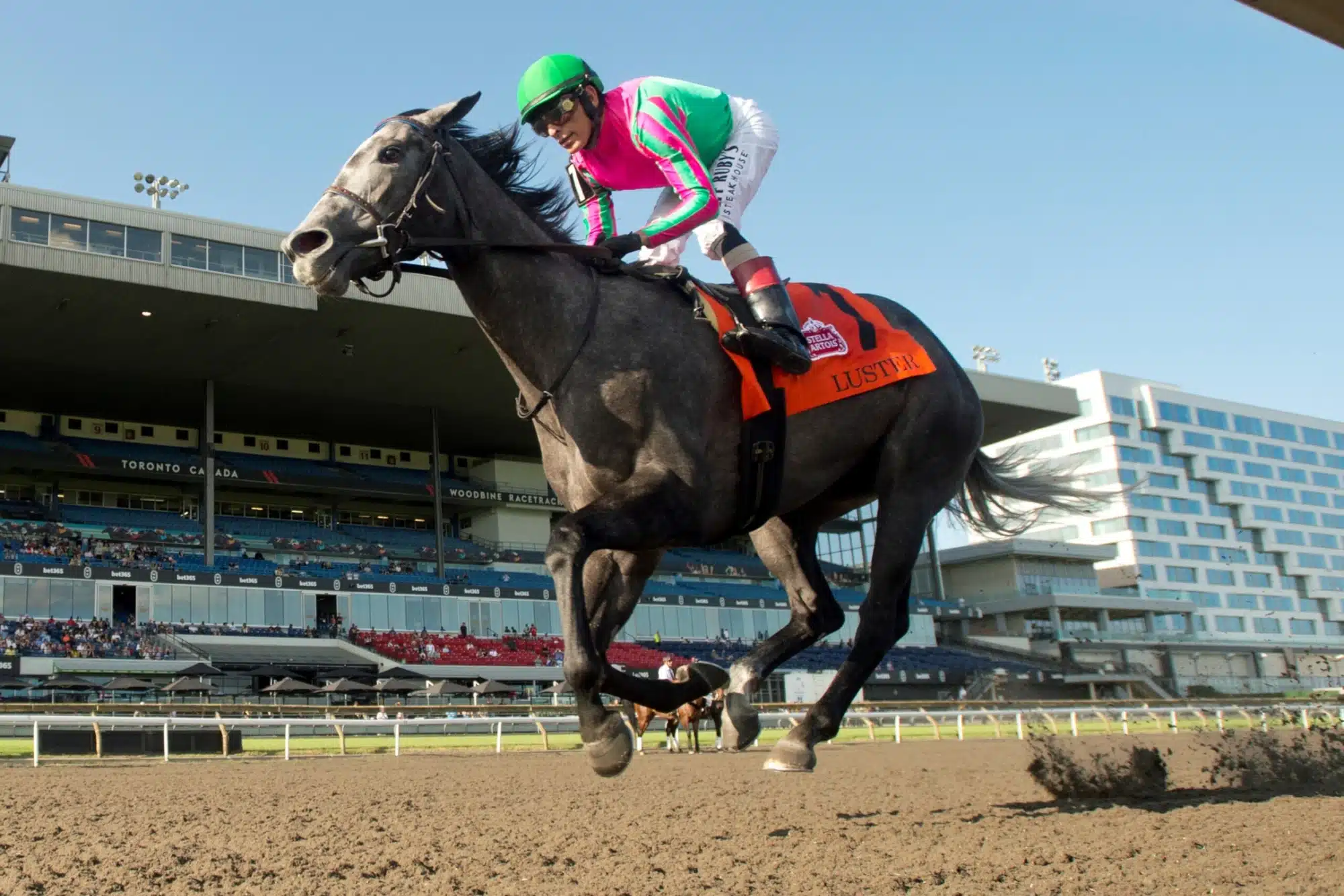Luster and jockey John Velazquez winning the 2026 Woodbine Oaks.
