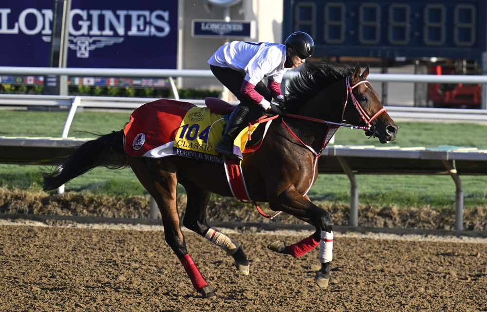 Forever Young, 2025 Breeders' Cup